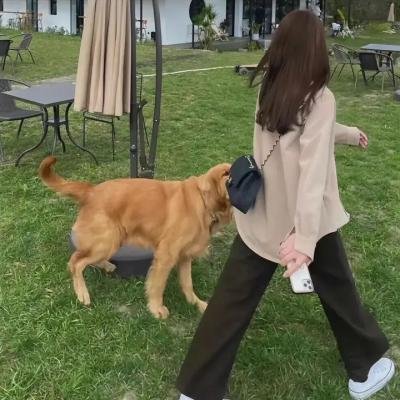 超兽武装